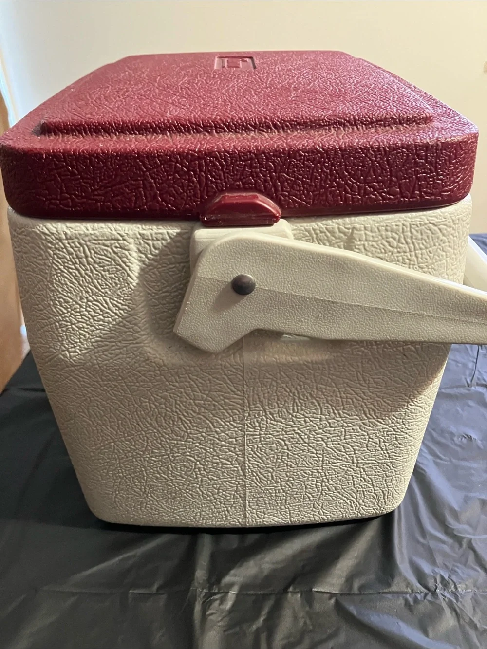 Coleman Two-Tone Personal 8 Cooler in Red and White